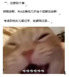 老胡要淡定啊