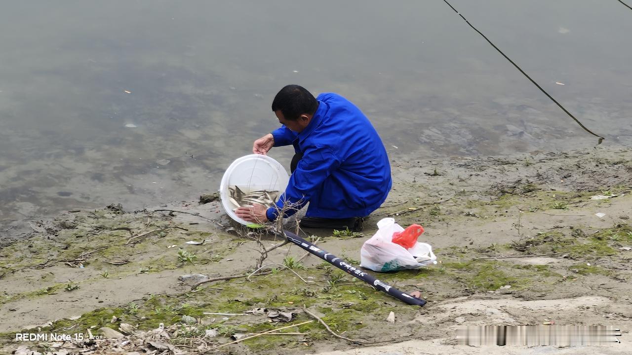 钓鱼佬是世界上最孤独的人。
怎么回事，安康的钓鱼佬愿意扎堆玩！

走在黄洋河边，