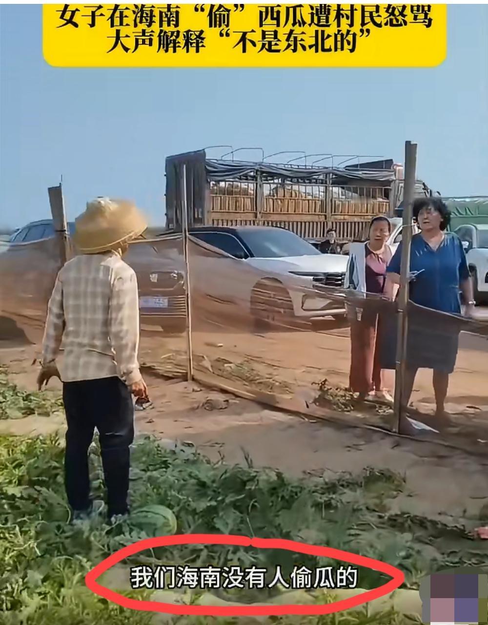 海南，两位大妈疑似到人家田里面“捡”西瓜，遭村民怒骂:“我们海南人没有偷瓜的”，