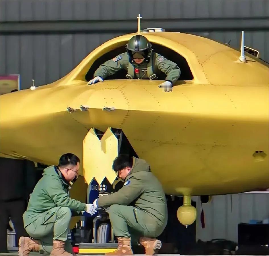 大美丽咱不怕，你看到的一切都是假的，就拿这个货来说，原来里面是有人的，还得从气道