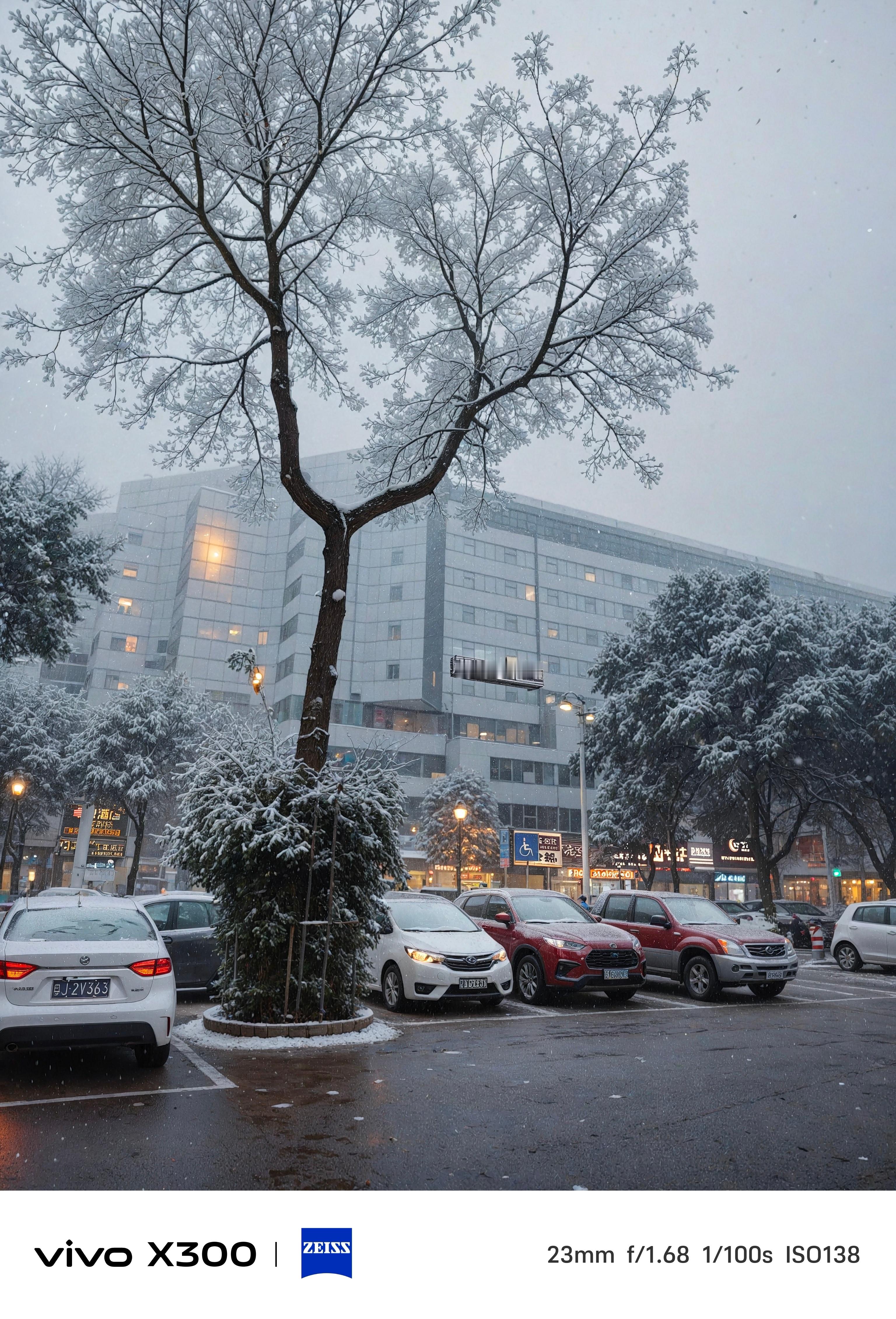 生活手记 今天好多地方都下雪了本广东人真想看看雪！靠vivo X300过过瘾了