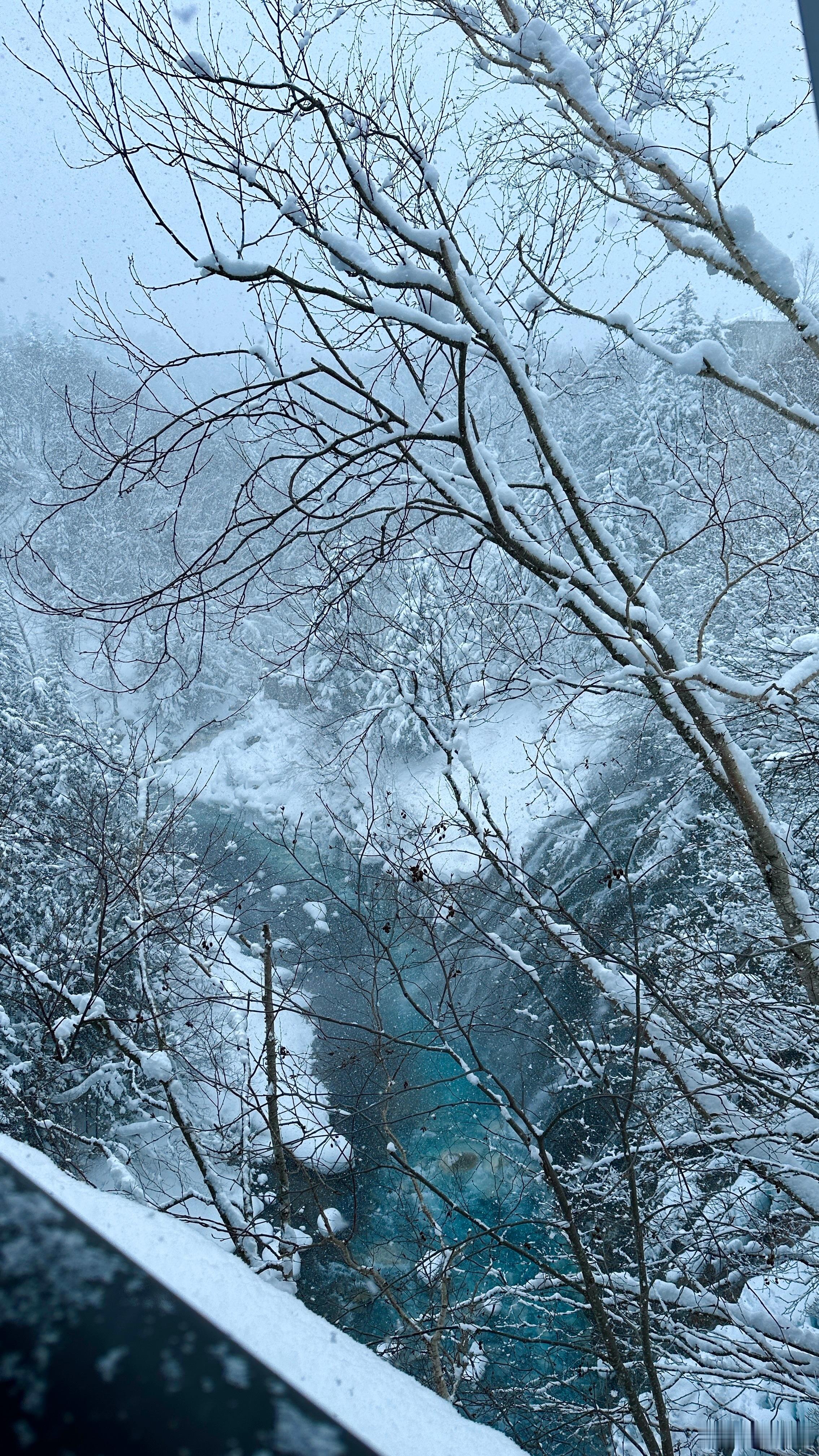 冬日恋歌🧊❄️  ​​​