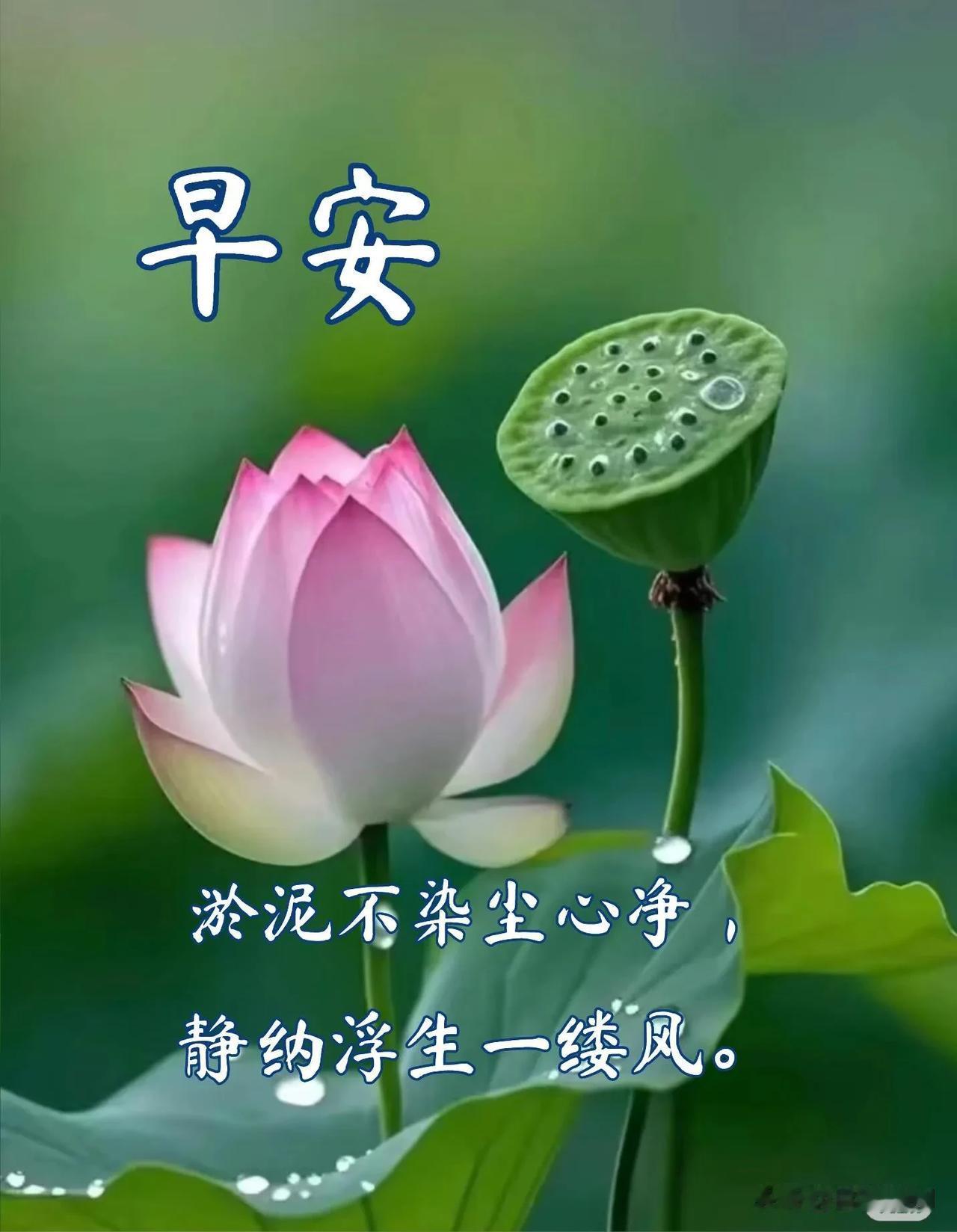 新的一天，保持一份热爱，奔赴下一场美好，早上好。