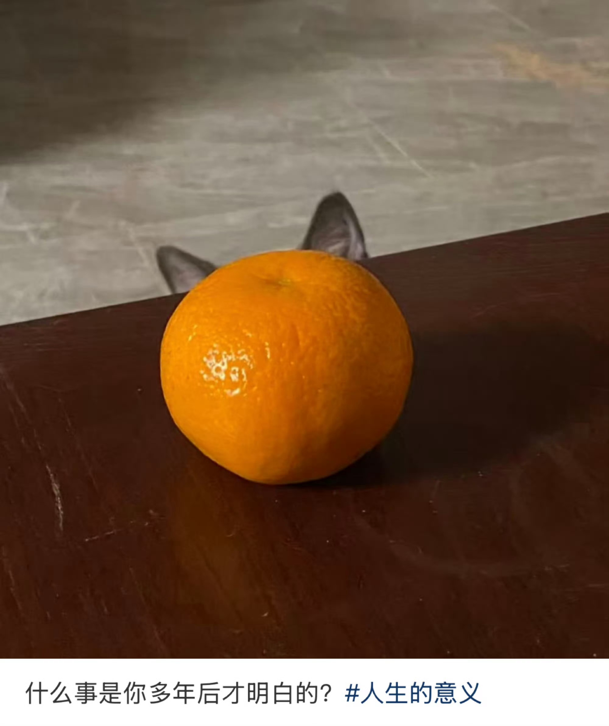 什么事是你多年后才明白的? 