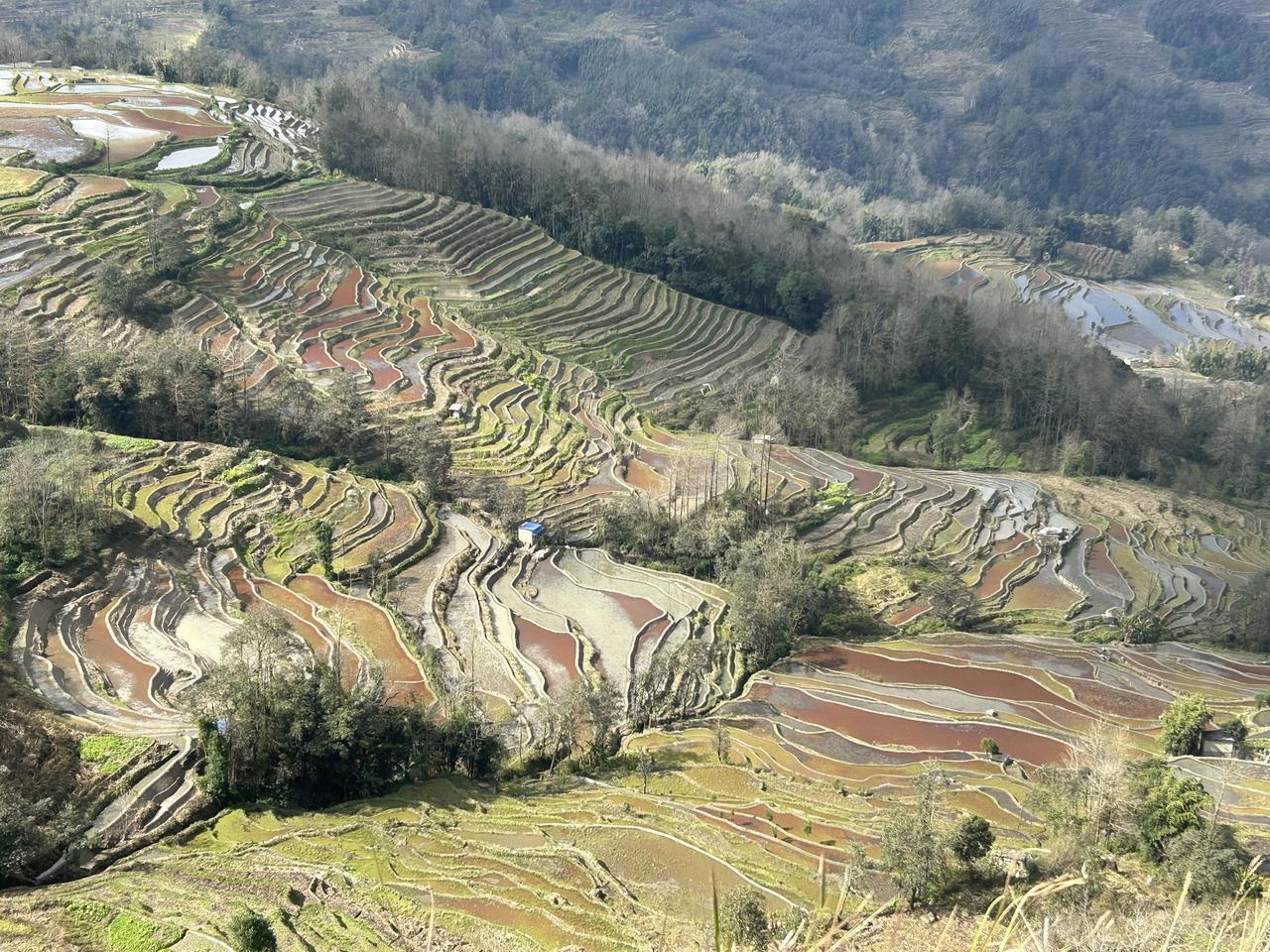 云南红河哈尼族自治州元阳梯田，仿佛天地相连，难分人间还是仙境高原个人资料 爬山徒