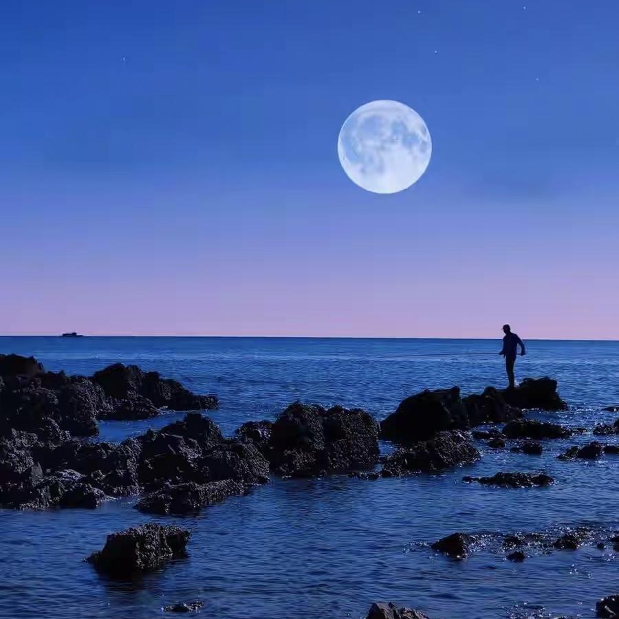 现代诗
秋天·秋月
秋深了，那清冷的银辉，一寸寸地漫过窗棂
漫过旧日的信笺，漫过