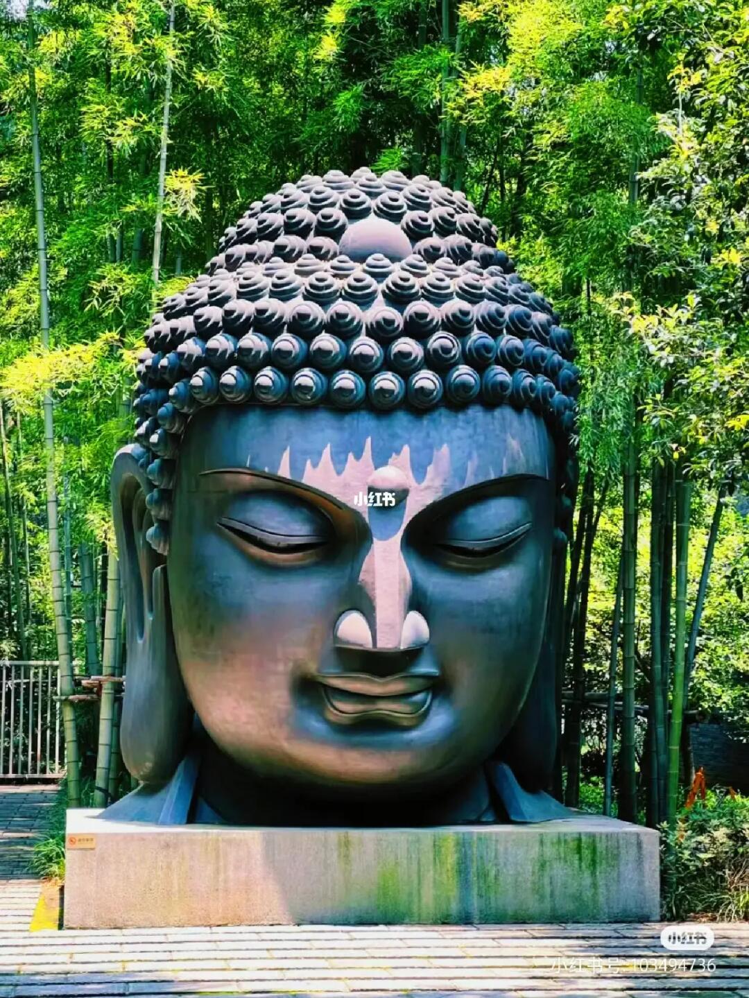 去杭州植物园之前一定要看的路线规划🔥