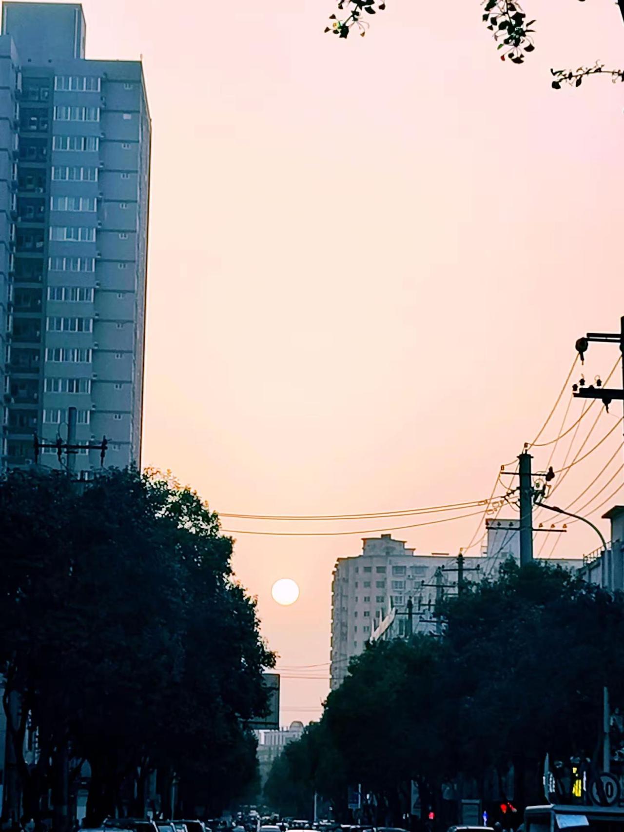 往事再动人，终究是旧梦。今天的天气真糟糕沙尘暴一样的树叶、尘土满天飞感觉要窒息了