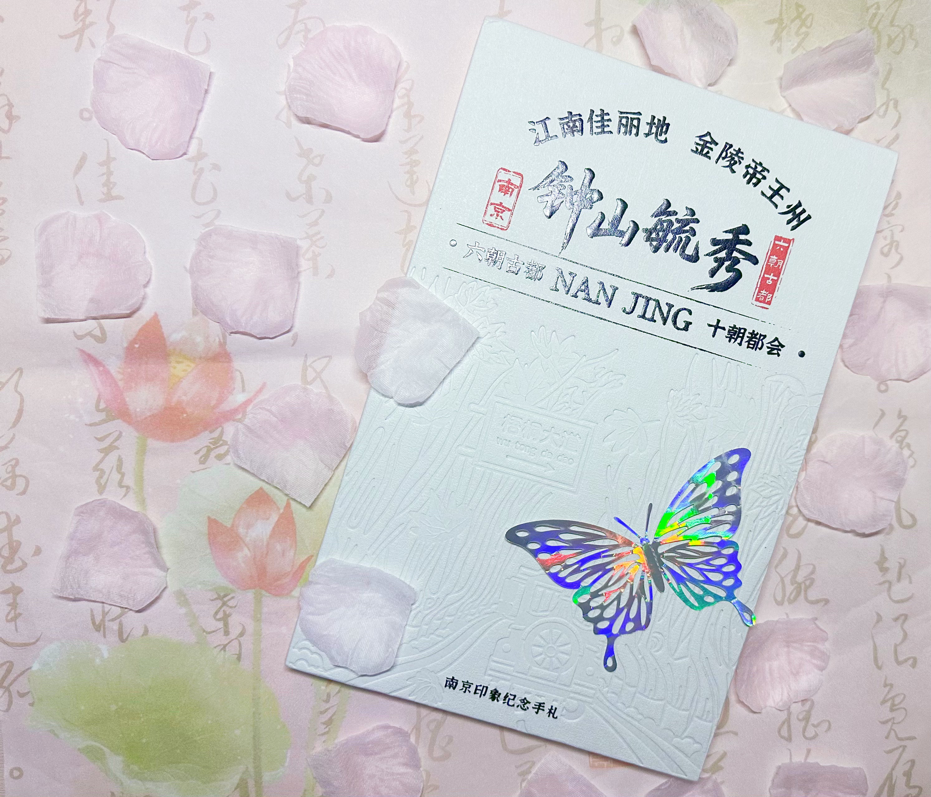 专栏 · 快乐小碎片