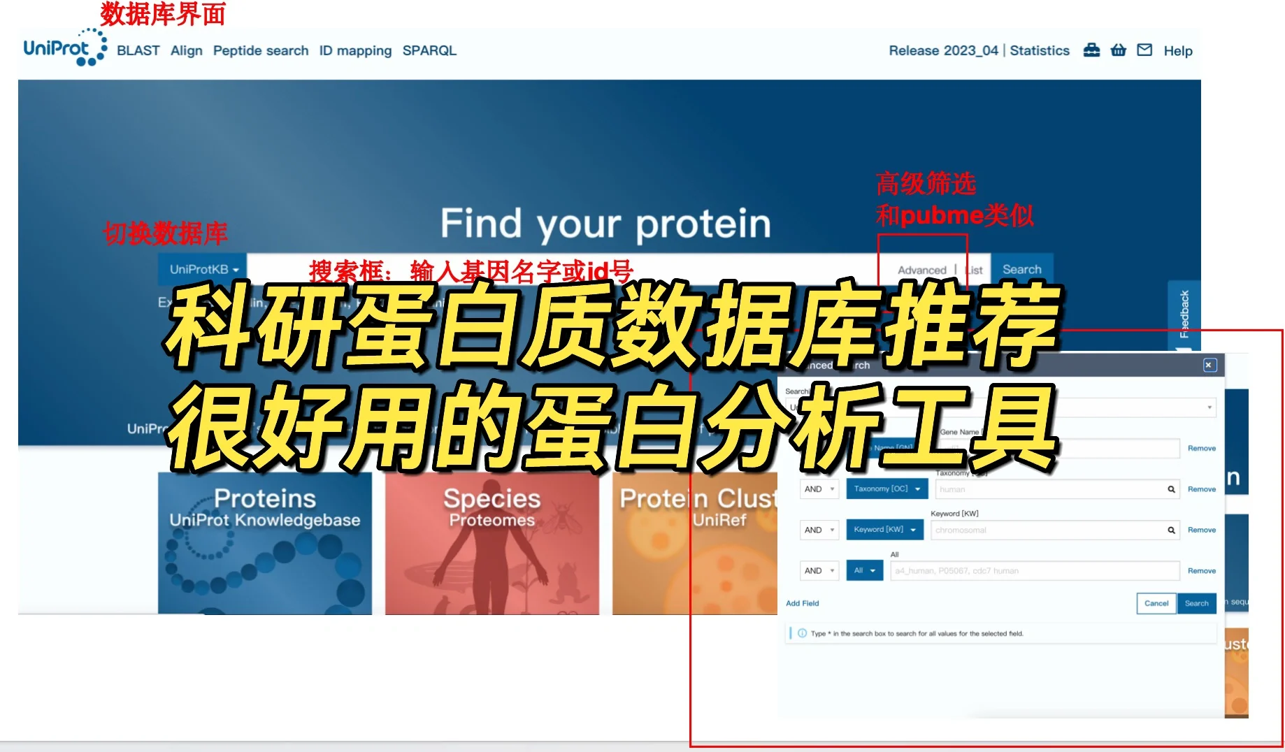 你不会了解一个蛋白还在一个一个百度吧？