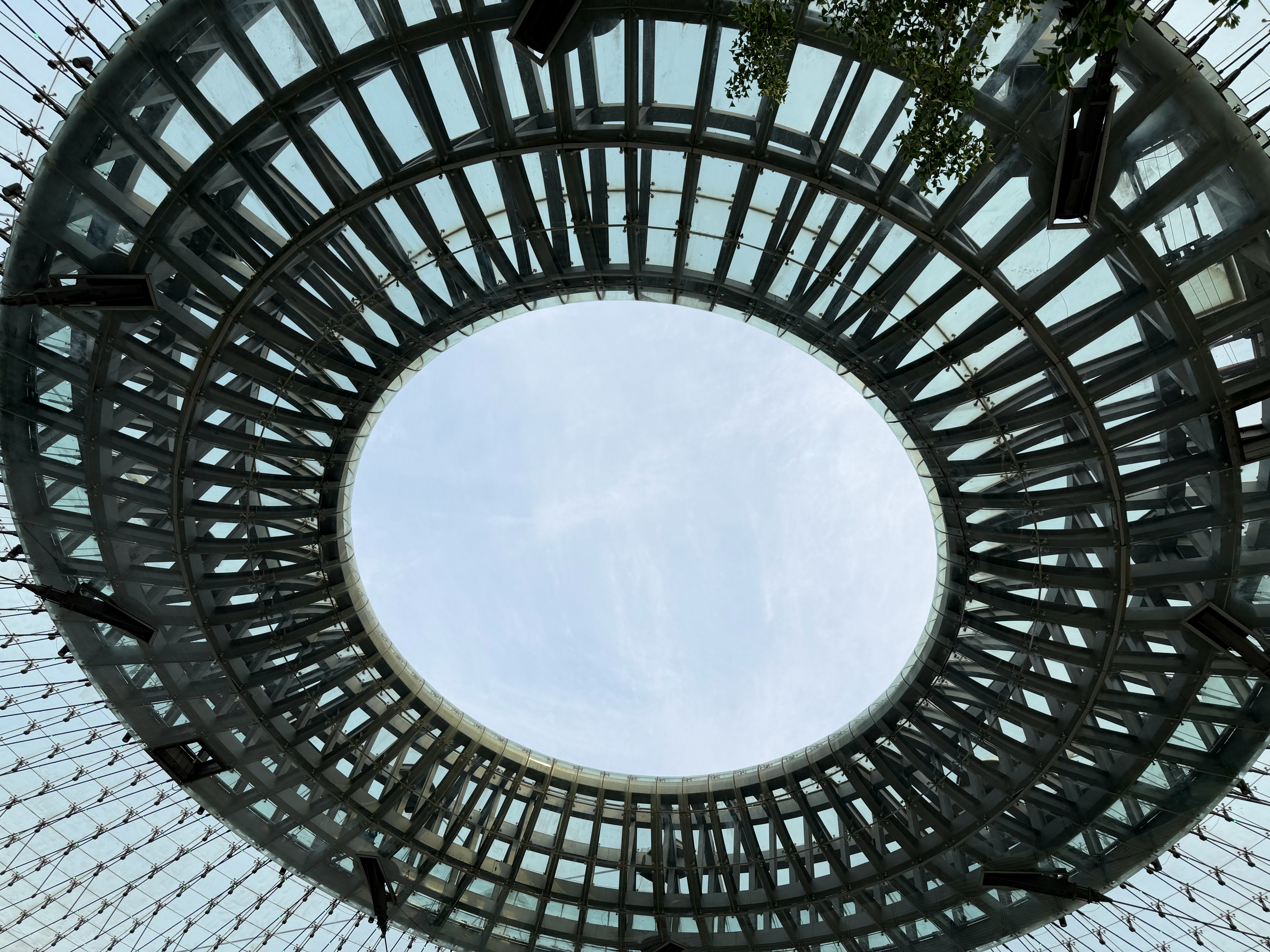 跑不动先生的日常  今天可太热了！以前再热的天，一口气跑完15公里之后再补水豆没