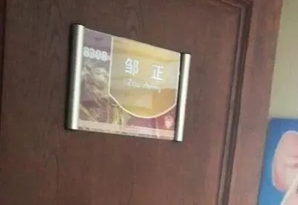 被终身禁足者，丁勇！