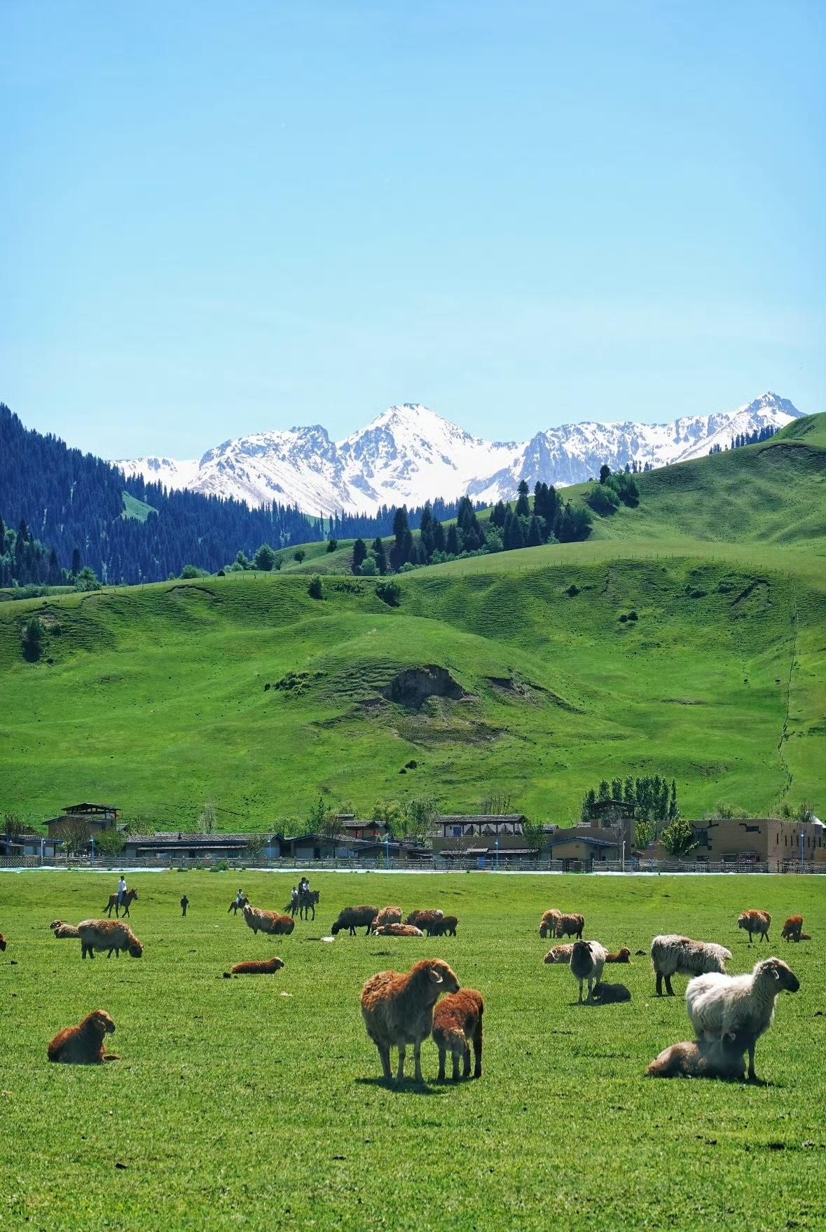 灵魂有洁癖的人都喜欢独来独往。