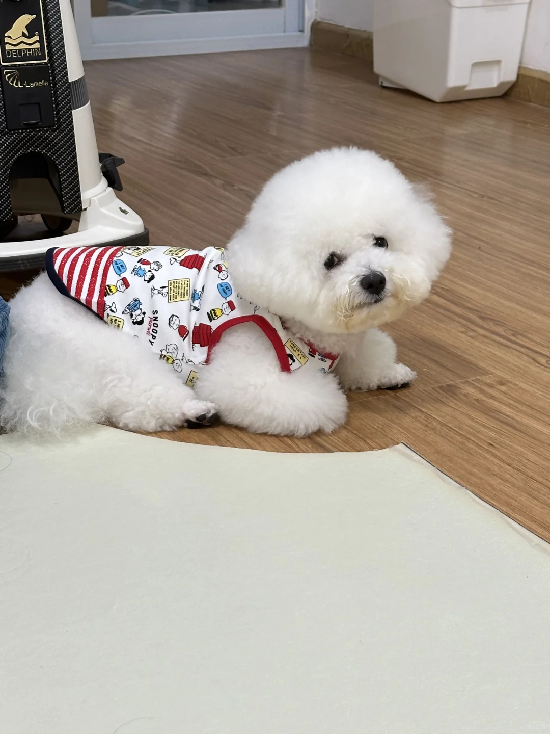 又在旁边听八卦 你是要成精啊