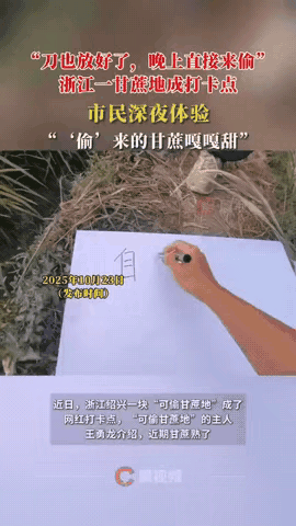 “欢迎来偷甘蔗！”浙江绍兴，男子家种的甘蔗熟了，销路成了问题，于是男子就拍视频发