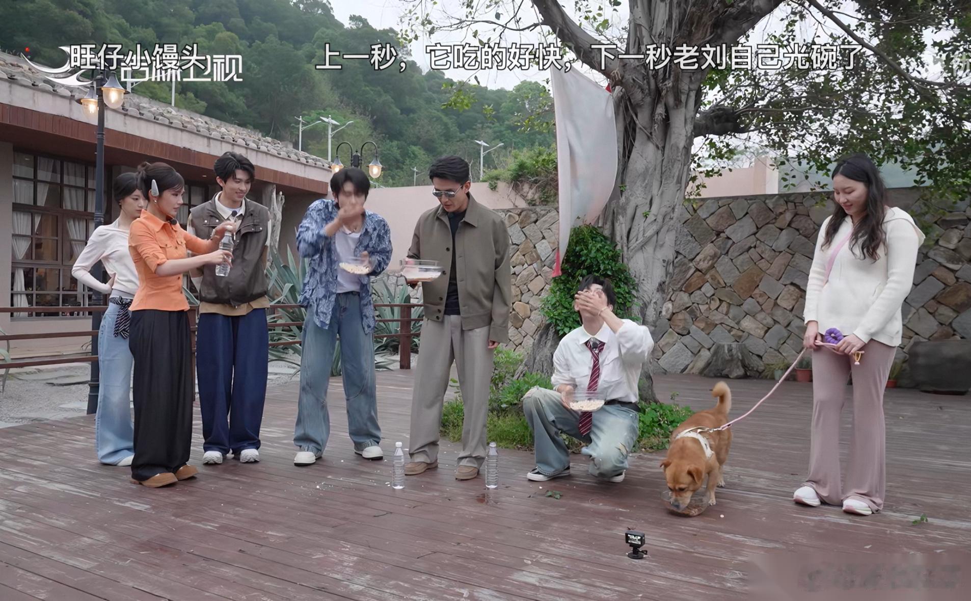没想到刘萧旭看着呆呆的，脑子居然这么灵光。 《短剧X家族》里，他跟申浩男、陈添祥