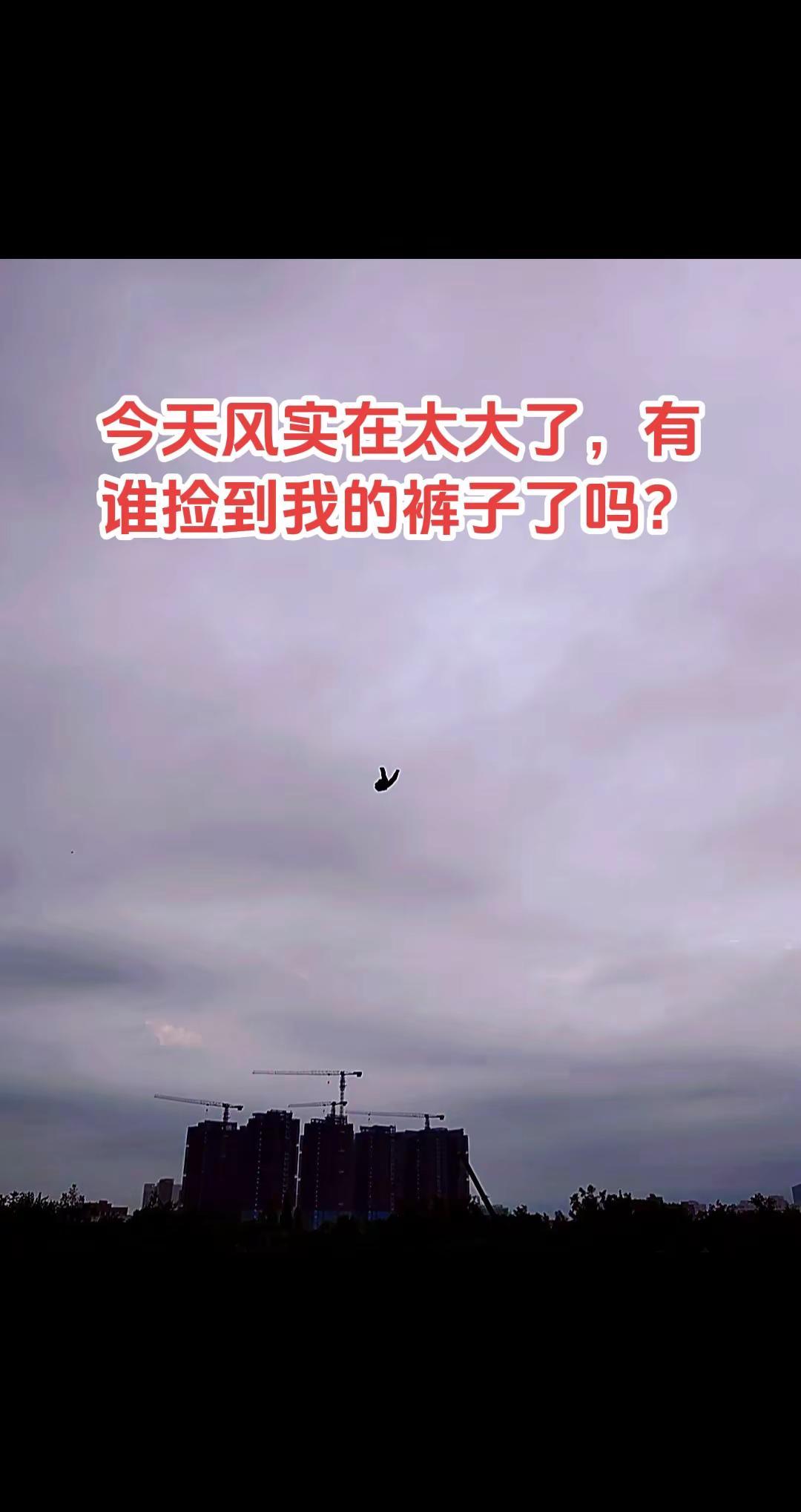 今天风实在太大了，有谁捡到我的裤子了吗？