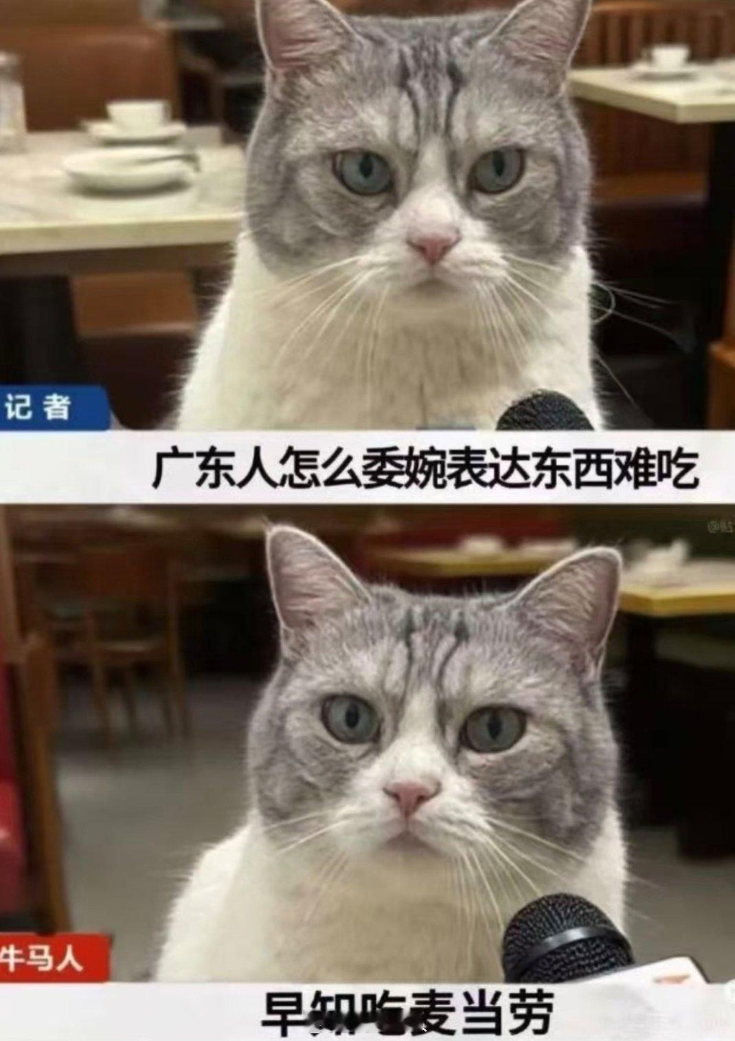哈哈哈哈哈哈哈是我！每次吃到难吃的东西都会后悔干嘛不吃麦当劳 ​​​