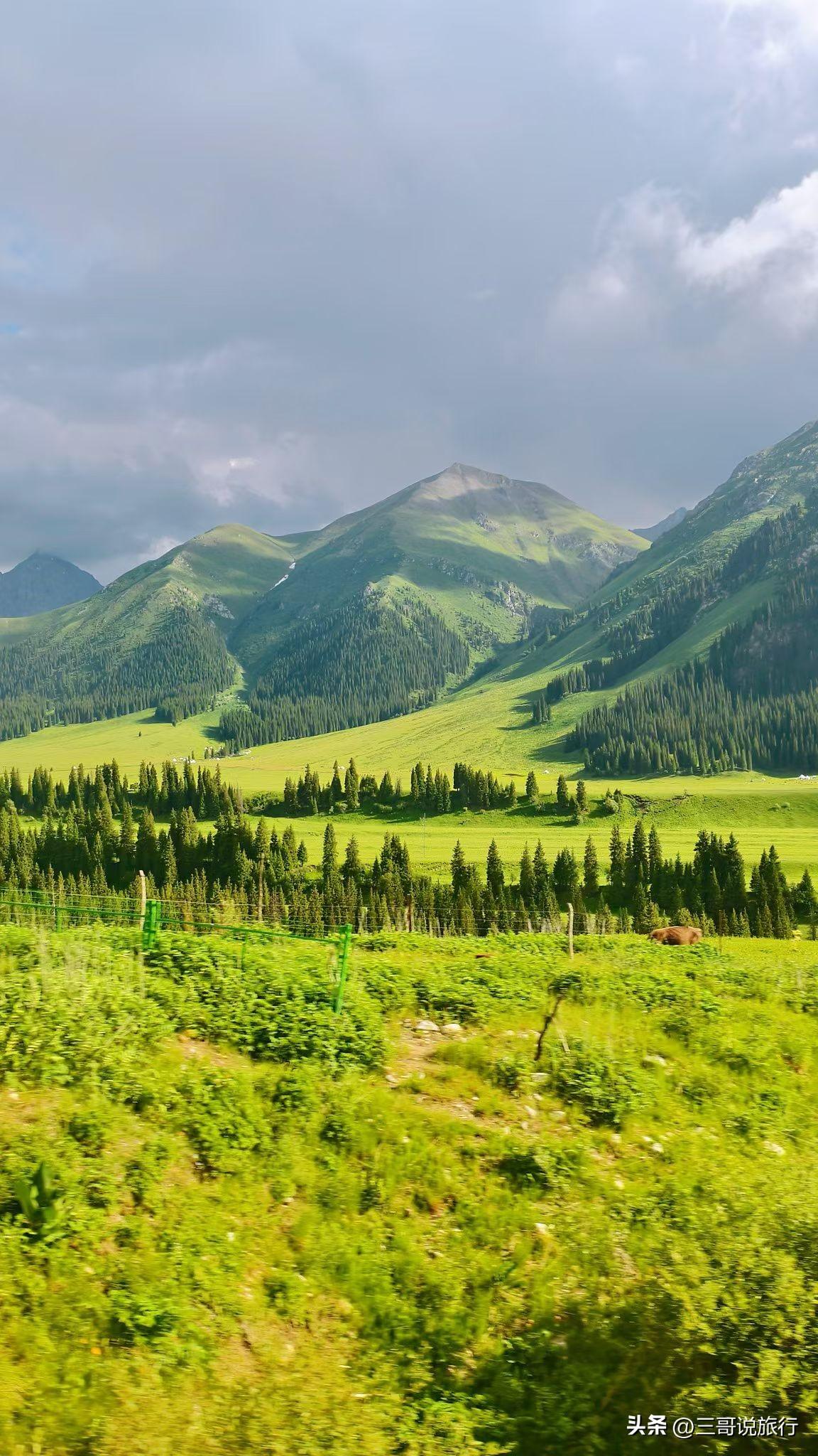 🏔️ 那拉提｜初夏的这一抹绿，是大自然写给人间的情书
 
初夏的那拉提，真的是