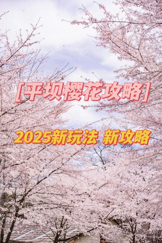 平坝樱花🌸今年🈶新玩法啦！（附攻略）