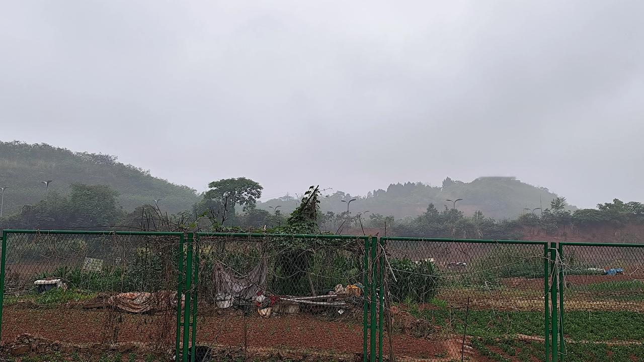 真心话茶局这两天下雨了，感觉连空气都是湿润的！小区里的景色，仿佛都都是湿漉漉的感