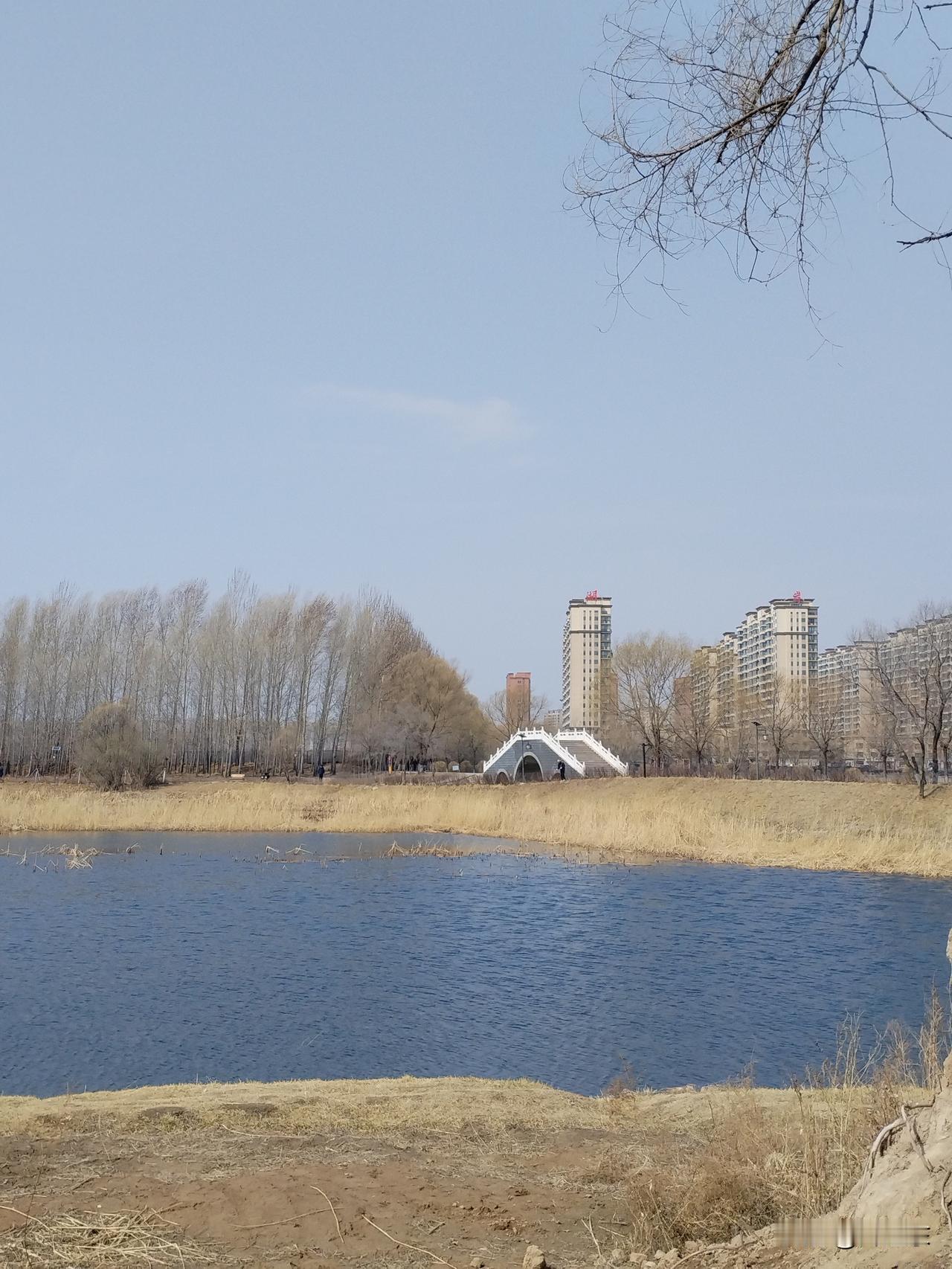 美国摆脱对中国稀土的依赖，短期内做不到，但在未来的某个节点一定能做到。
    