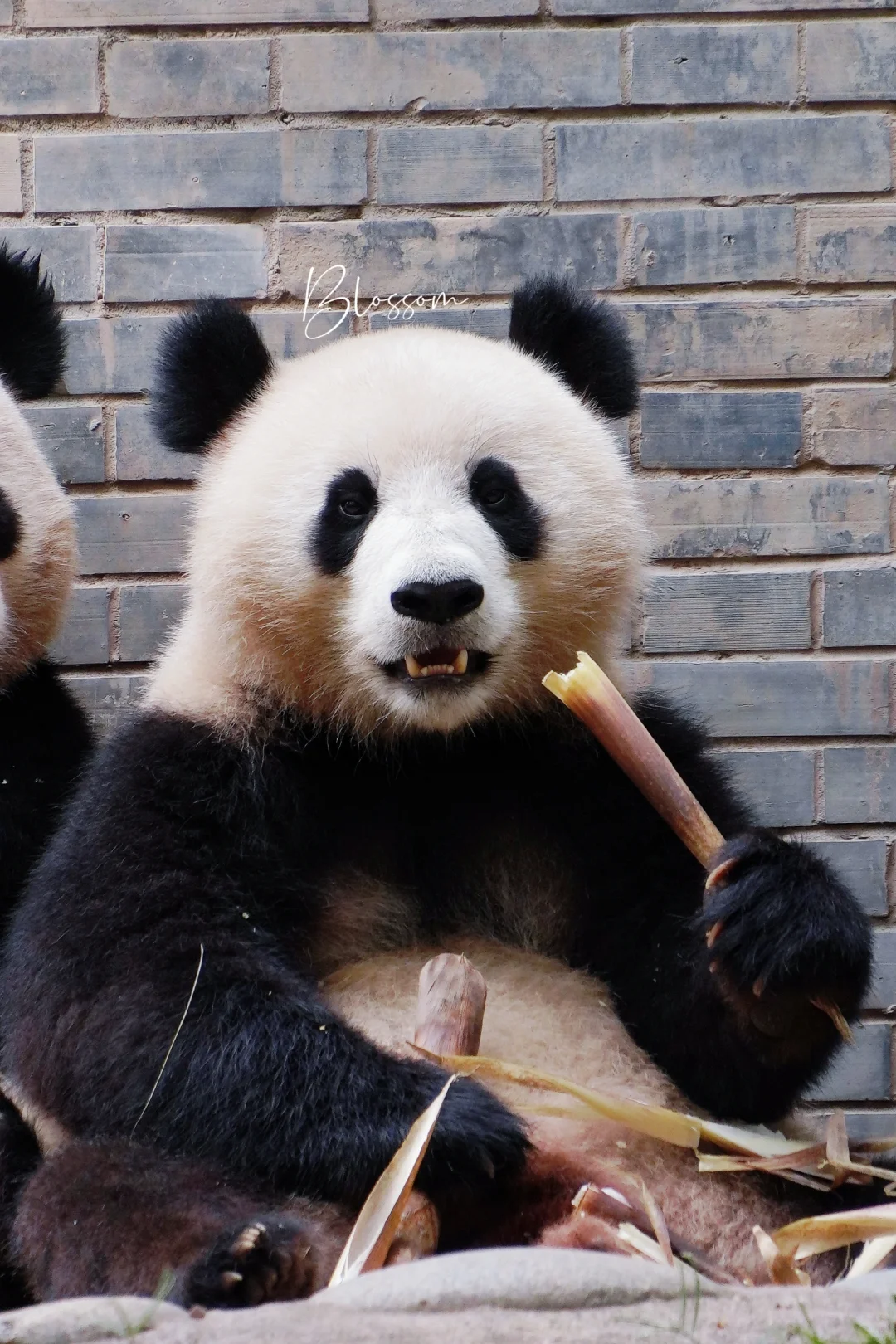 240827 好蓬的美心心