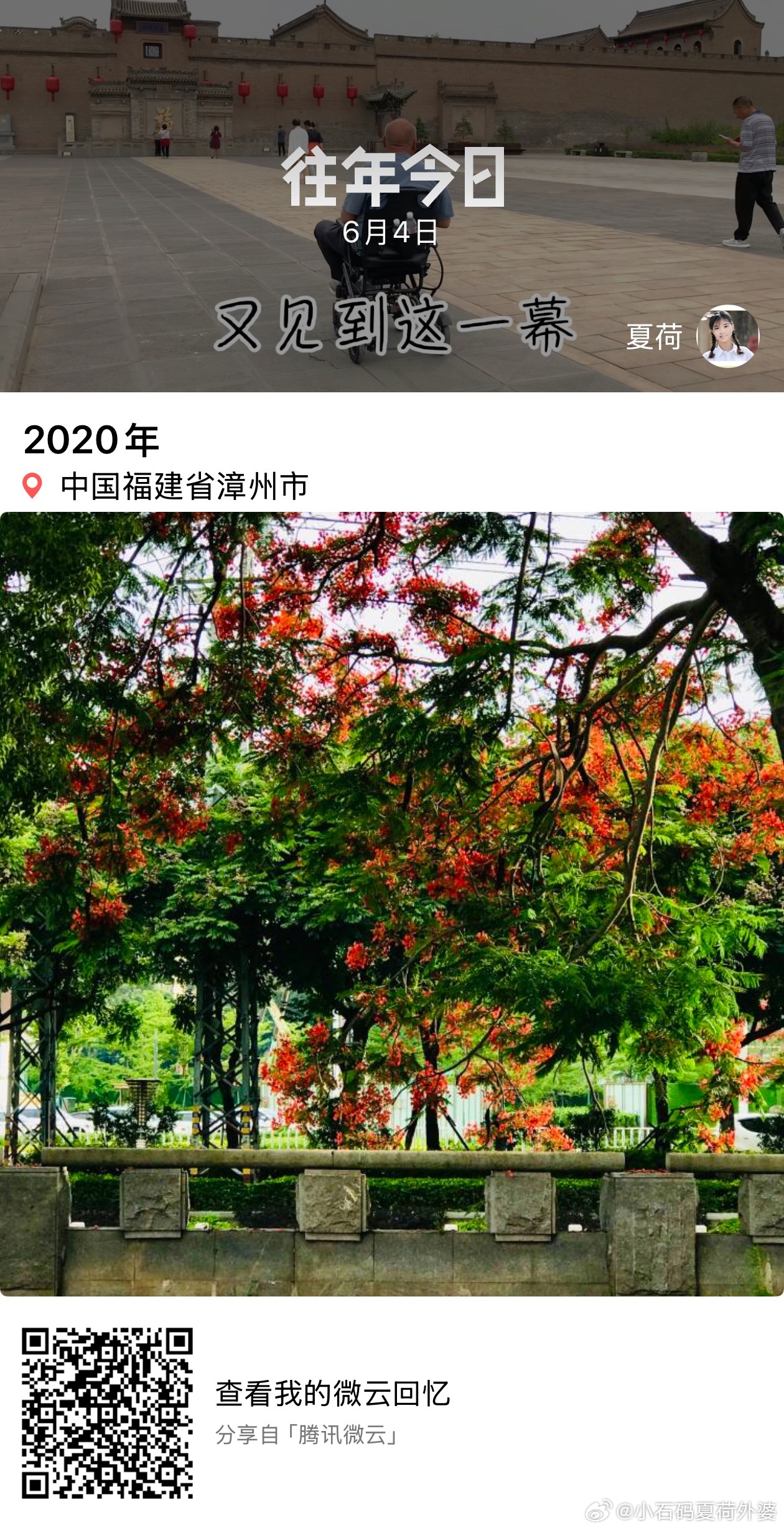 往年今日，2020年6月4日，小区门口的凤凰木，记录变迁：岗亭撤了，凤凰木死了，