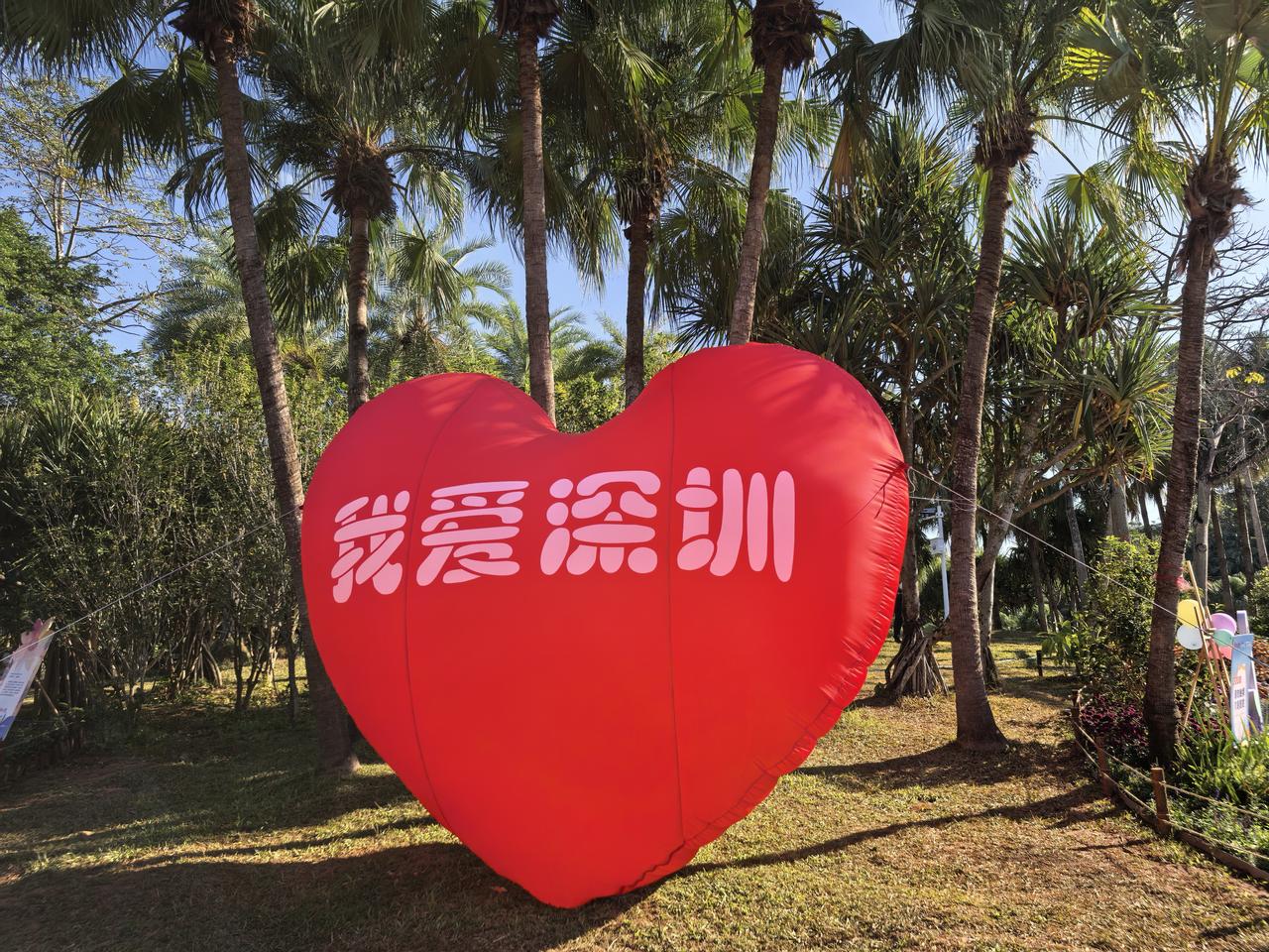 来了就是深圳人
根扎在深圳，才算真正的深圳人。
       每到年关春节，平日