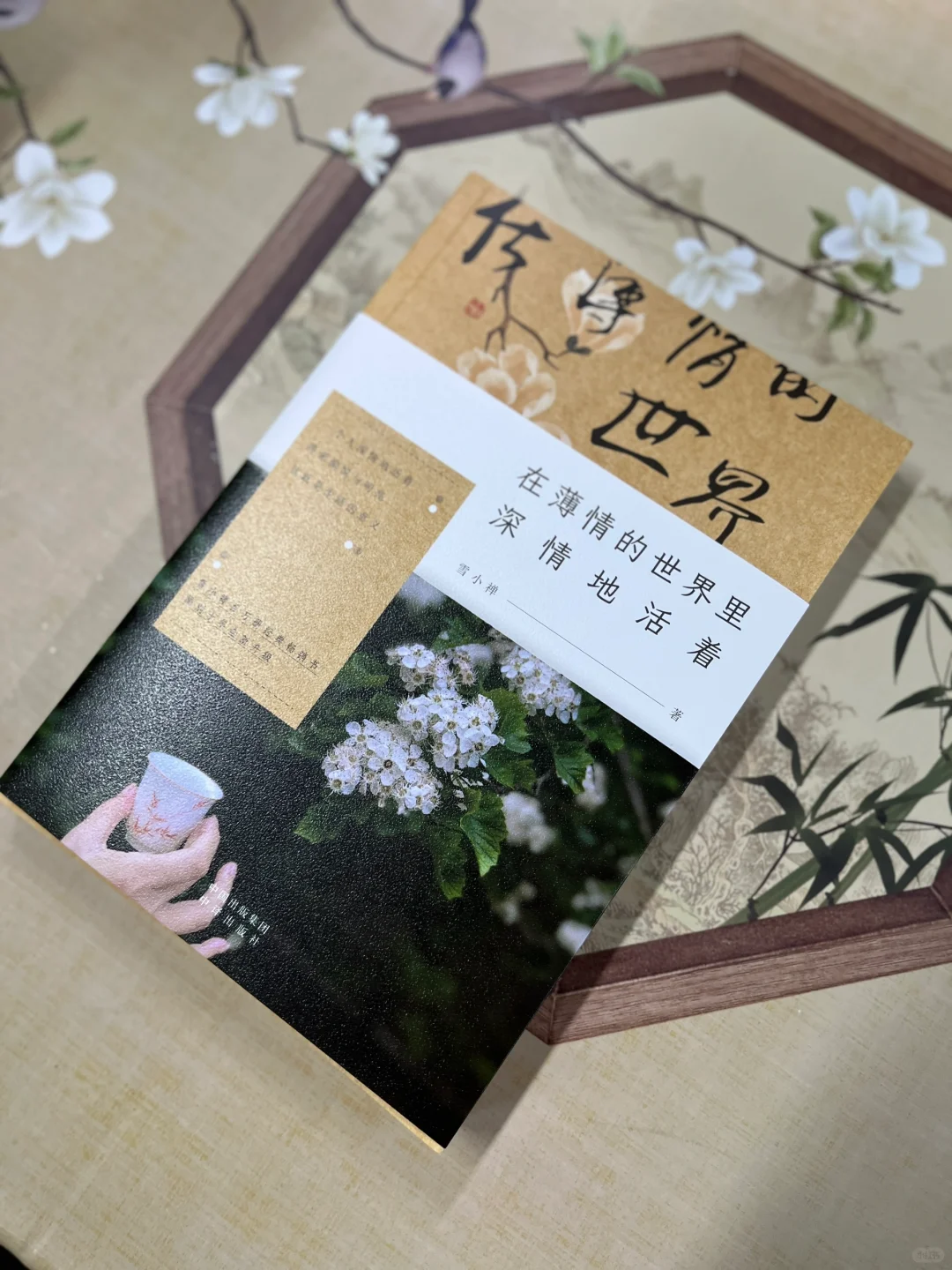 山河远阔人间值得