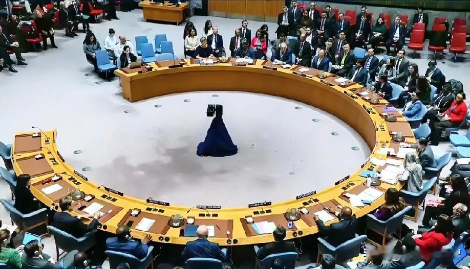 12月20日凌晨的最新消息，速报，全都不容错过，第五条：安理会将召开委局势紧急会