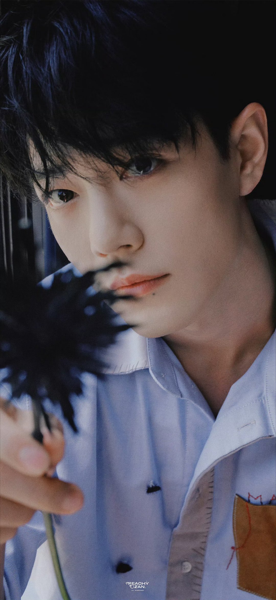 肖战最好的你[超话]肖战 肖战﻿肖战顺顺利利你的眼像是一望无际的星辰，一定是在你