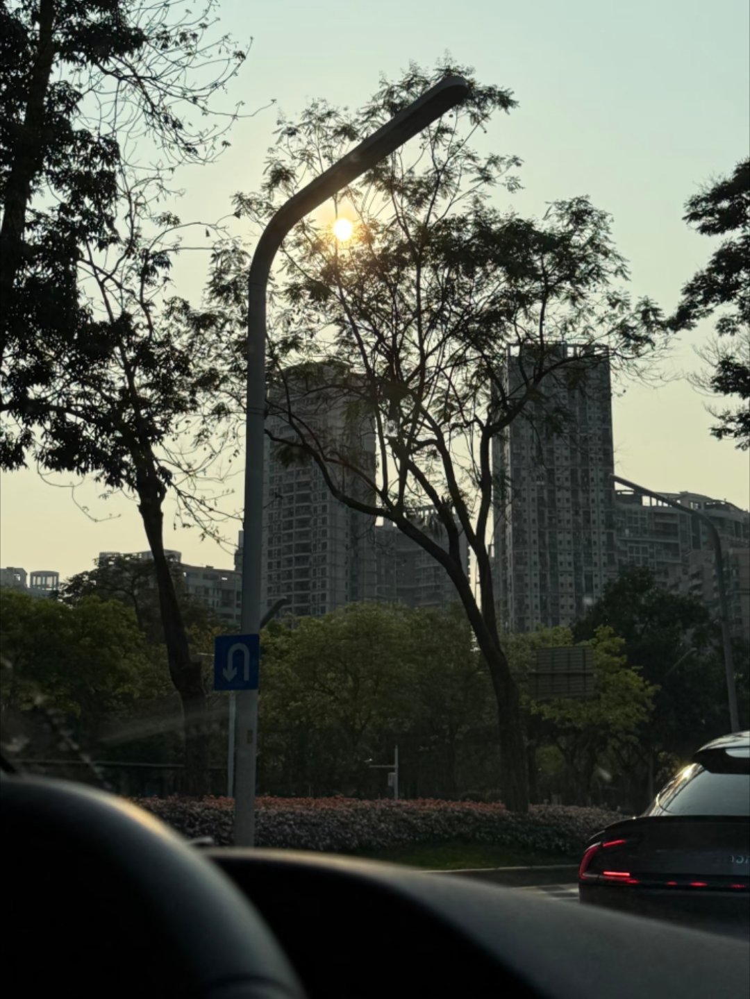 💭我过什么样的生活 就赞颂什么样的生活！最近偶尔会出门散散步，吸氧好开心，看到