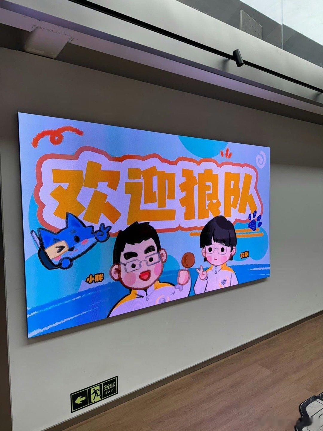 狼队拜访影视飓风 抓到一枚胖皇和一朵🍄[哇]双厨狂喜说累了！条幅➕海报，鸡腿菇