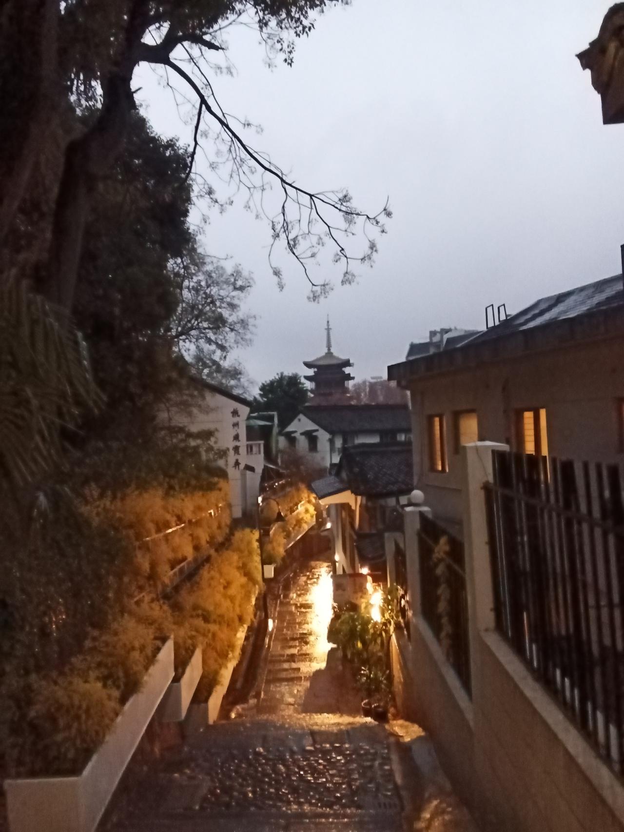 分享一张最近随手拍的照片