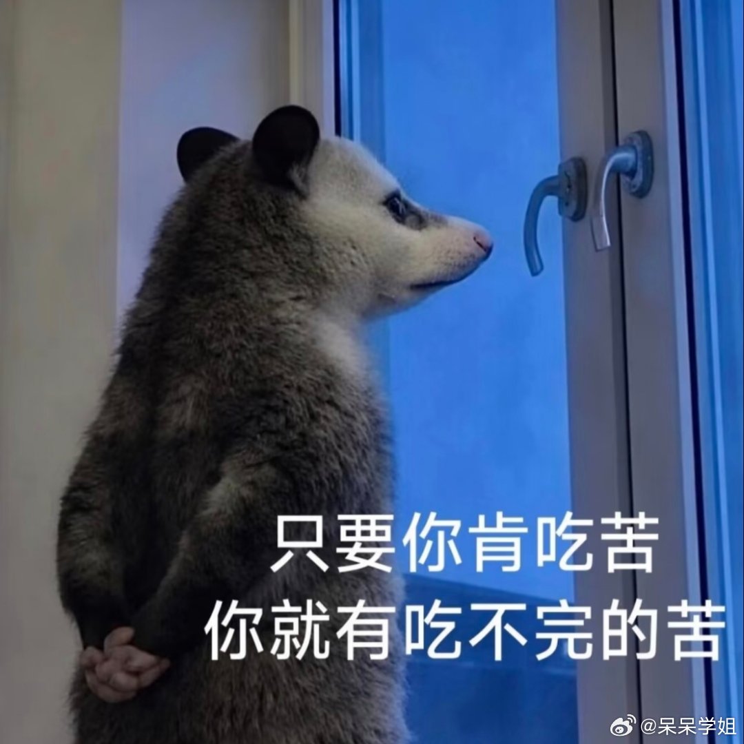 负鼠表情包～ 