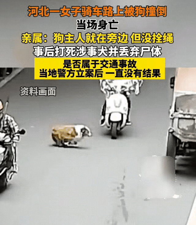 一条鲜活的生命被一条狗断送了～