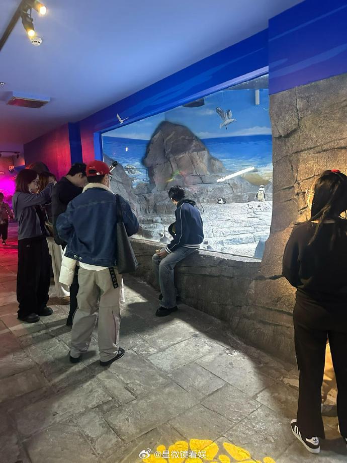 海洋馆偶遇陈哲远网友在上海海洋馆偶遇陈哲远!期待成片 