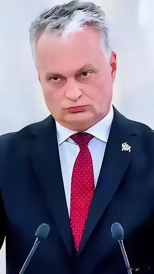 活久见！立陶宛总统瑙塞达为了推脱责任，2月12日他对着立陶宛国家广播电视台公开宣