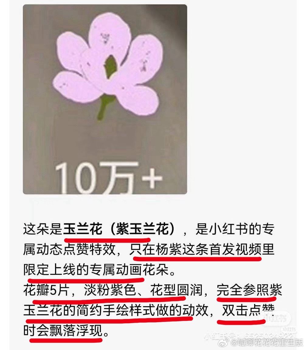 🍠为了欢迎视后，太用心了，👍视频会有专属的紫玉兰花掉落！ 