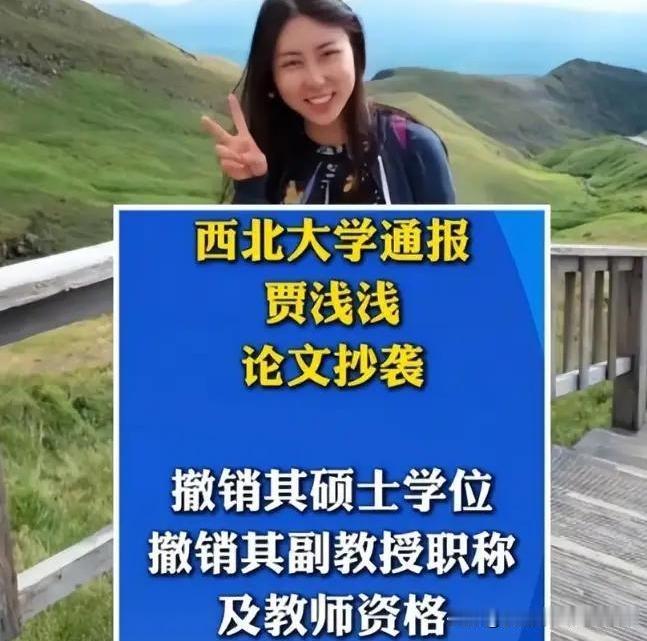 16篇论文9篇抄袭、同一天被两所大学除名：贾浅浅事件背后，藏着学术圈最痛的3个潜