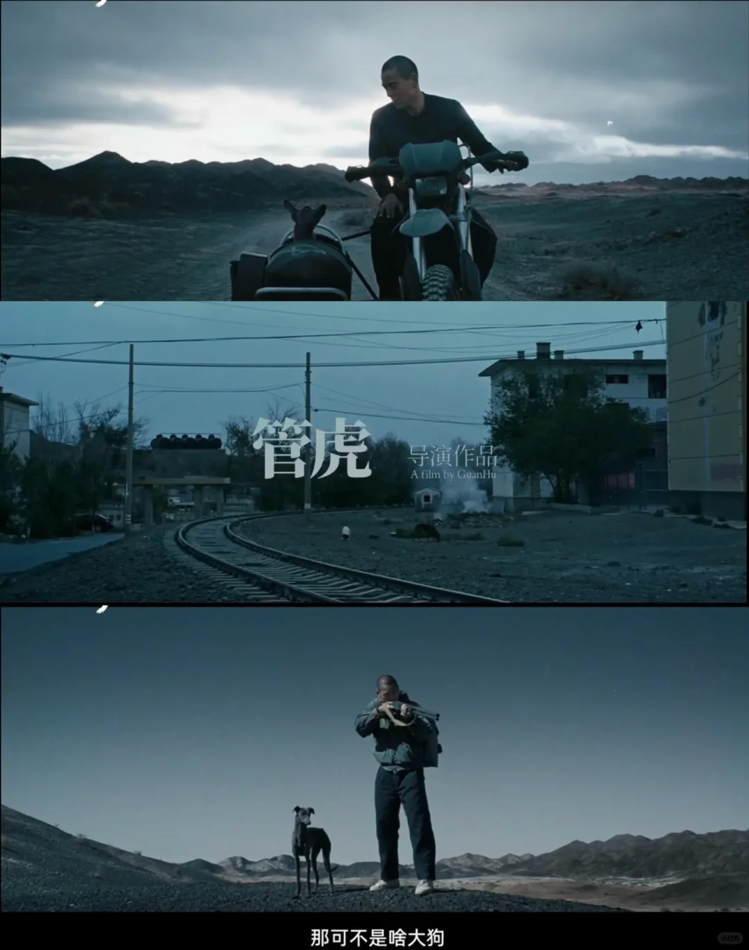 《狗阵》不煽情，你的触动都是在为生命喝彩❗️