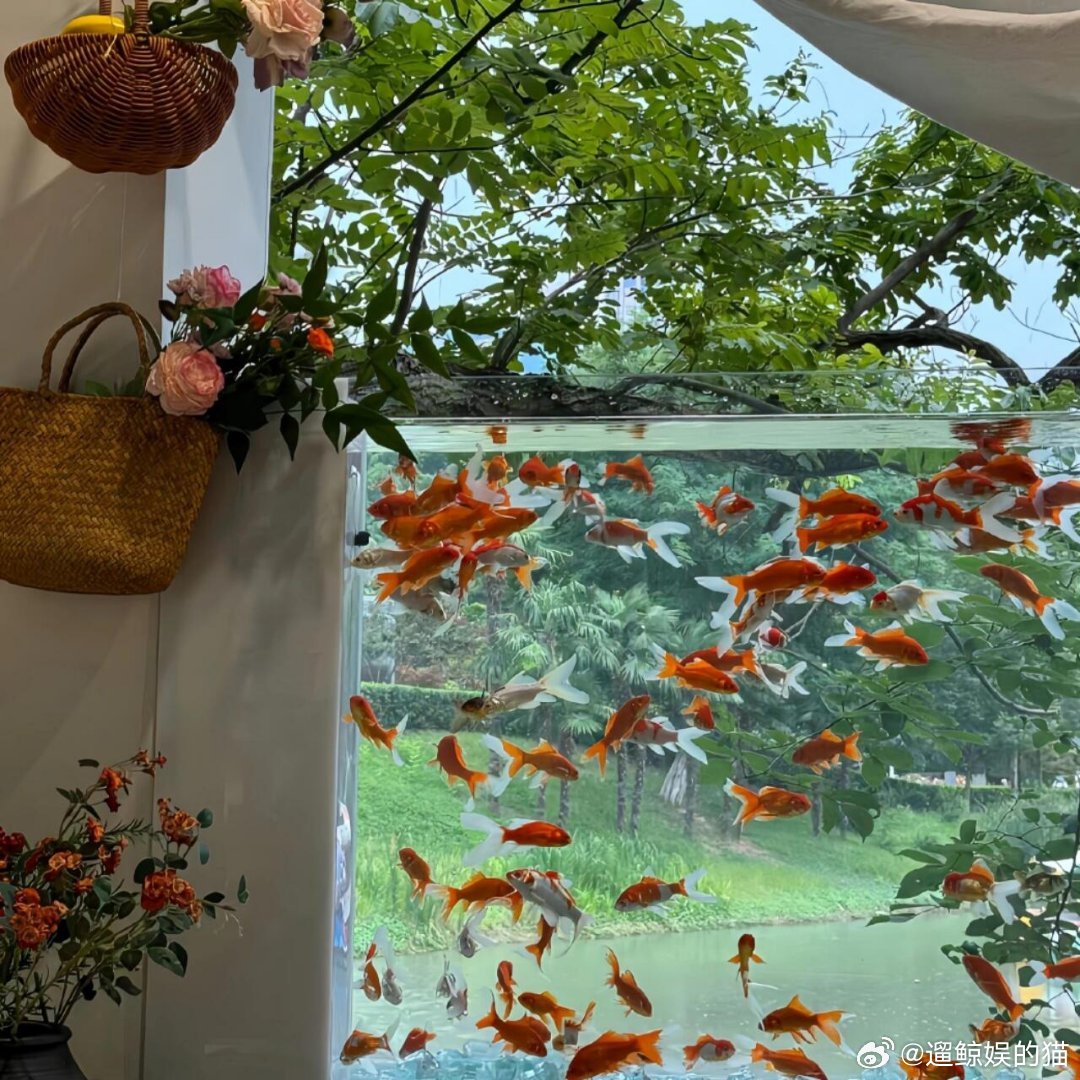 𝙒𝙚𝘾𝙝𝙖𝙩|背景图1. 𝗛! ▸💭🐈⬛⊹꙳2. ⬣ 𝗟𝗜