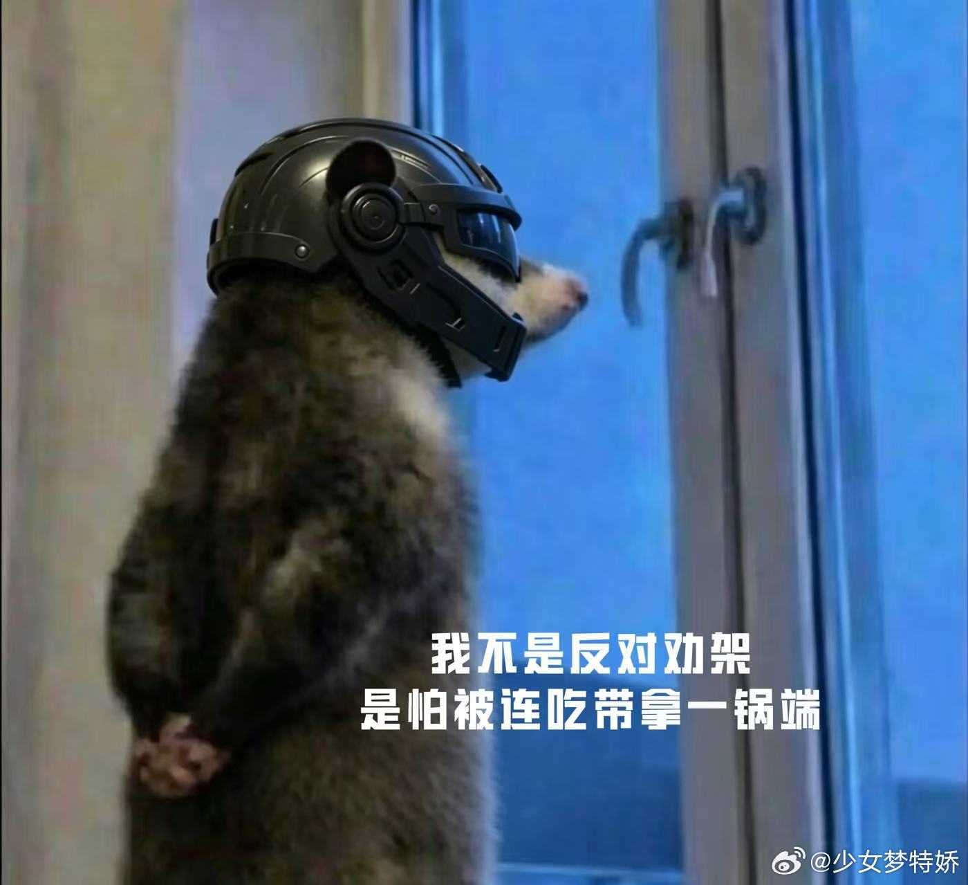 鼠鼠我啊来看PEL咯PEL夏季赛倒计时三日可爱鼠鼠前来助阵，距离开赛只剩三天，坐