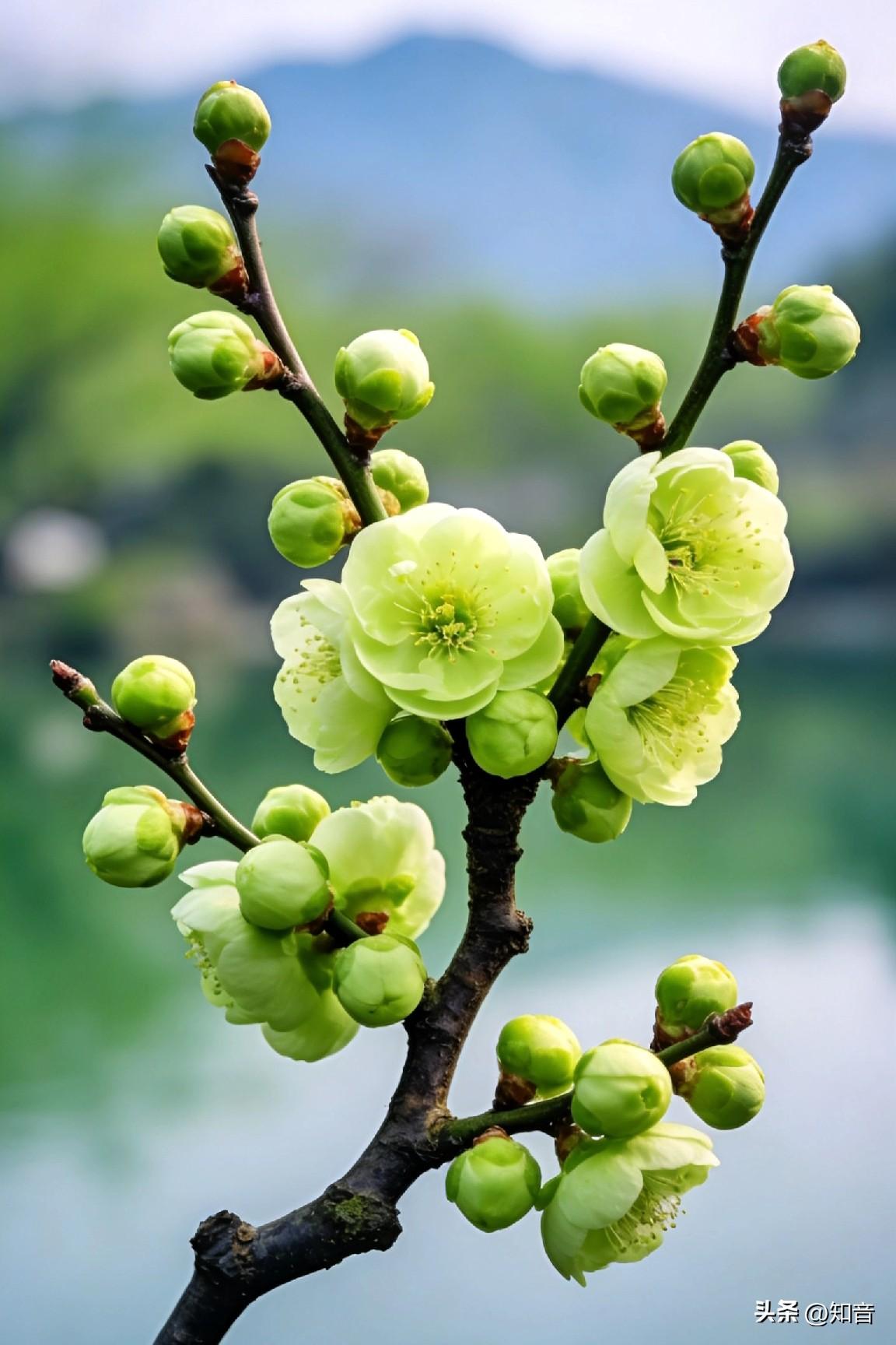 二婚女人是重视自己的感情，还是重视自己的孩子！

我觉得重视自己孩子的女人才是值