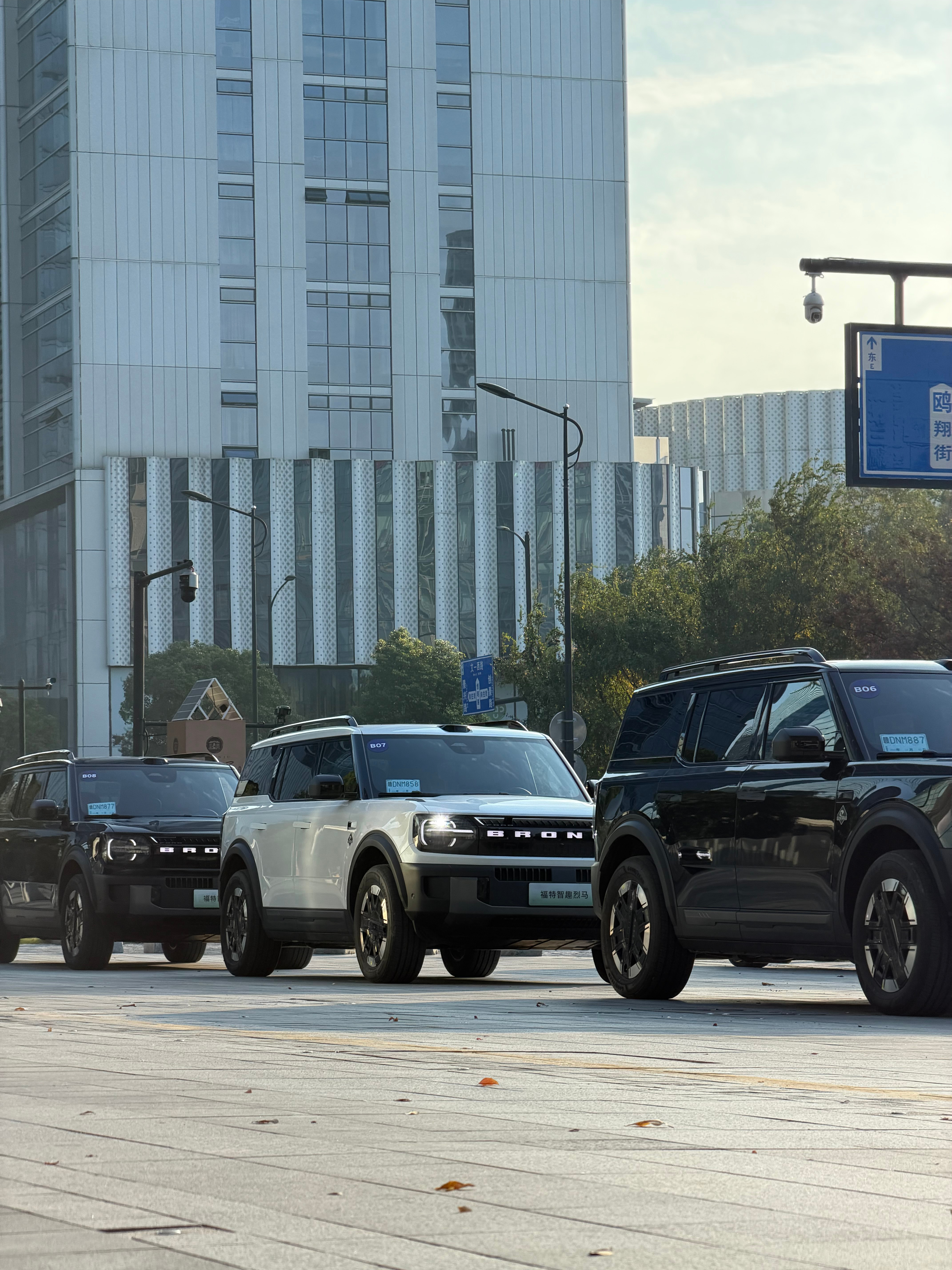 智趣烈马我变心了 我爱上了白色