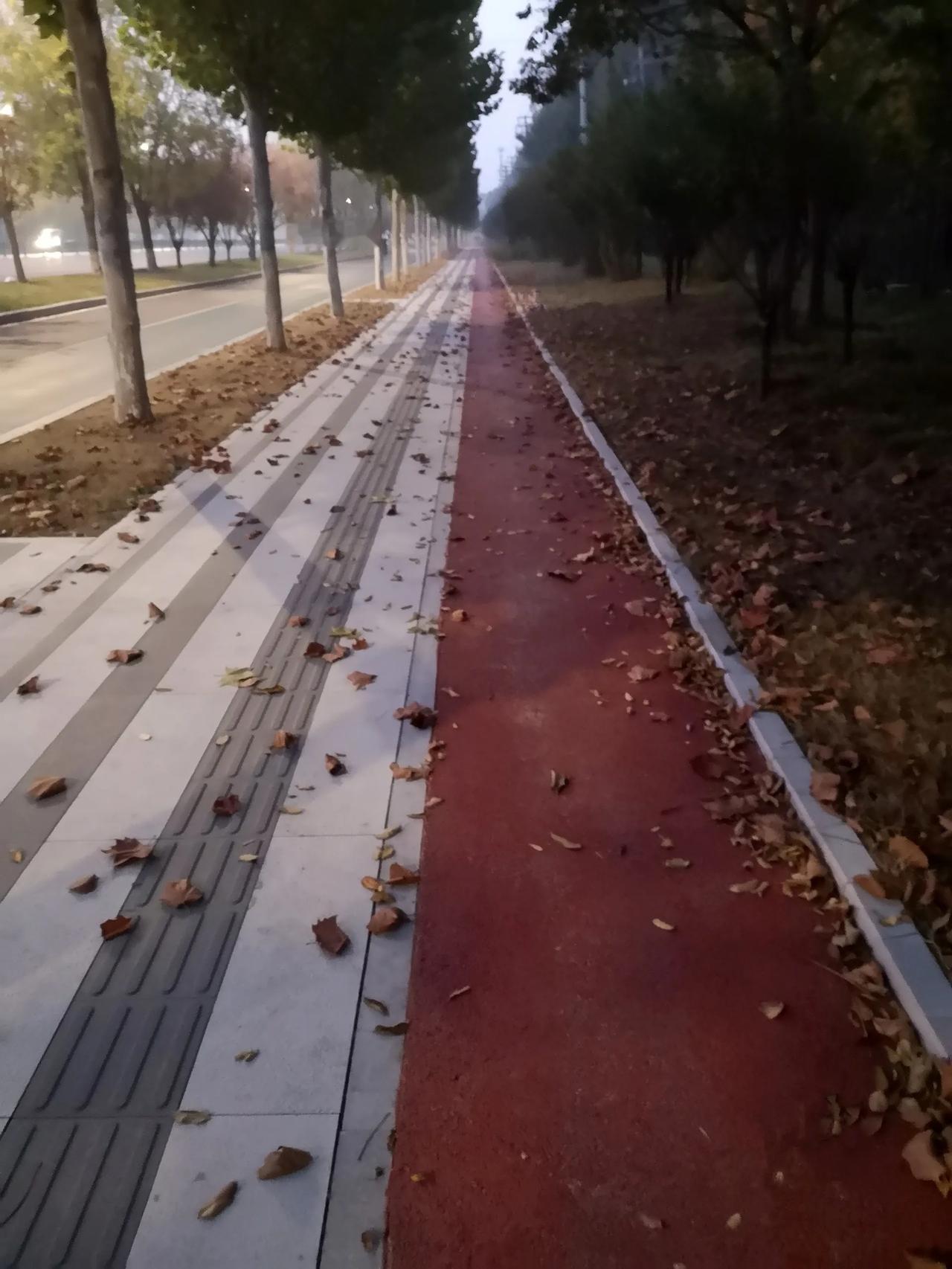 #秋日生活记录#奔跑在清静无人的路边小道上，某些瞬间或许会感受到“物我两忘”的“