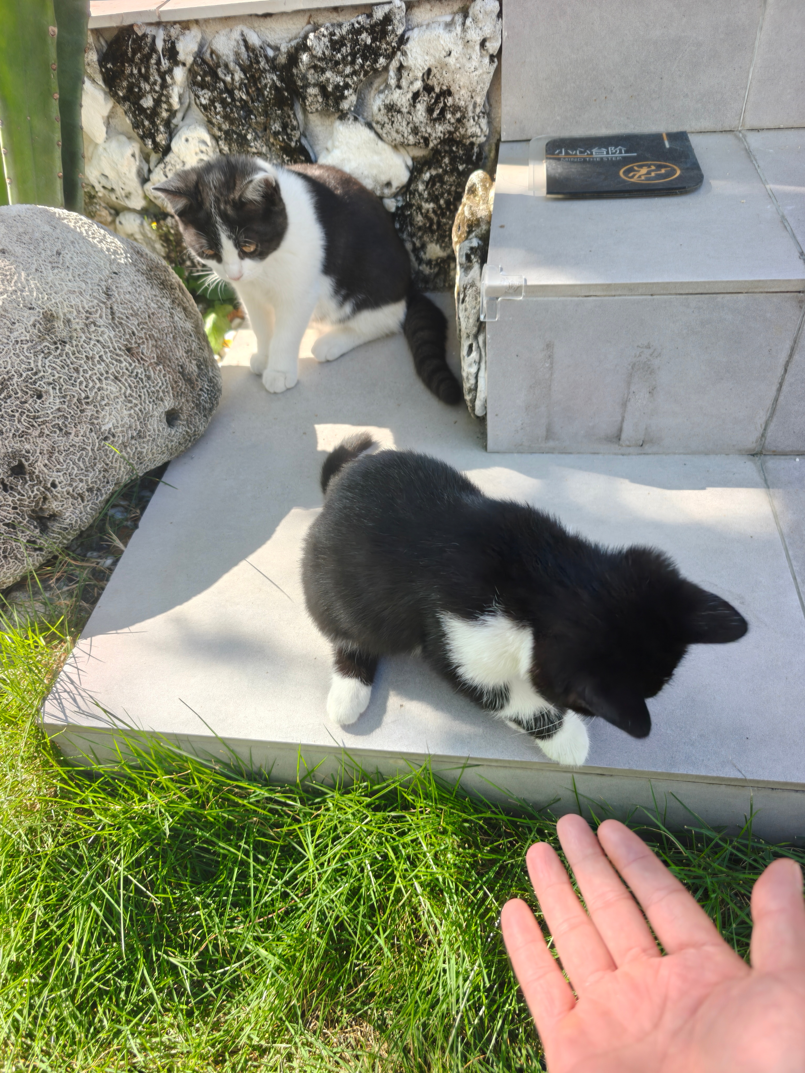 记得当年华为跟科技新一合作的时候，🌸粉们也是群情激愤，跟现在KML和M粉们的心