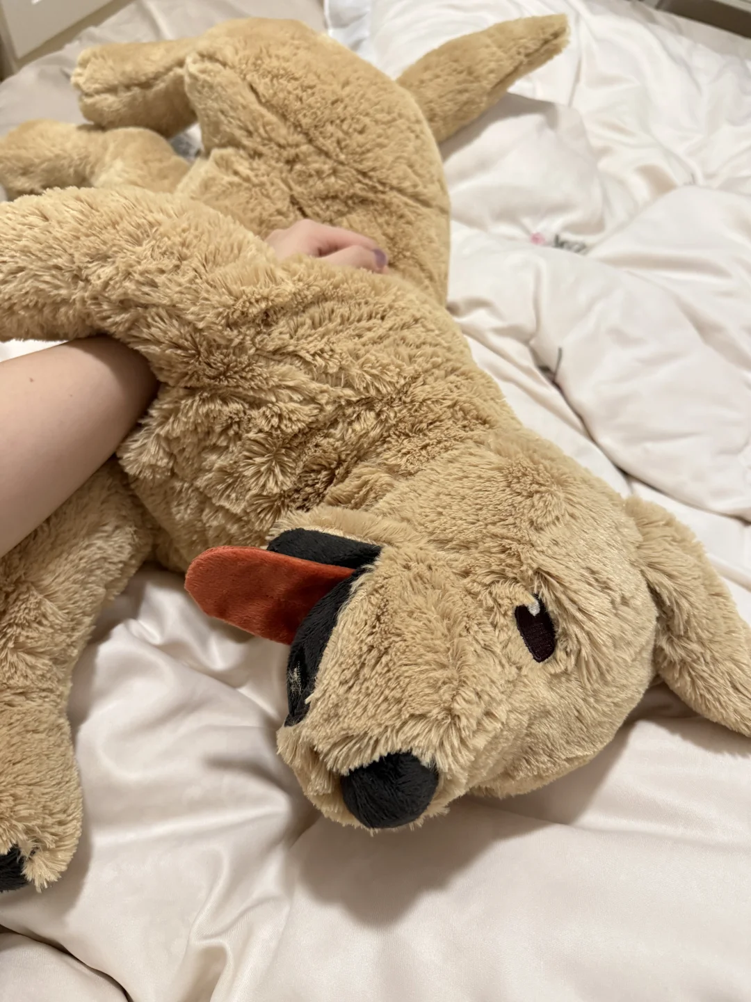 我的睡觉搭子