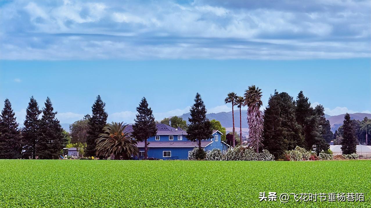 无论是在网络上，还是在现实生活中，有相当大比例文化程度不高的人，对所有的“虚假信